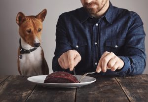 Dieta BARF: Comida cruda para Perros